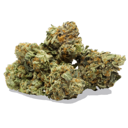 Master Kush