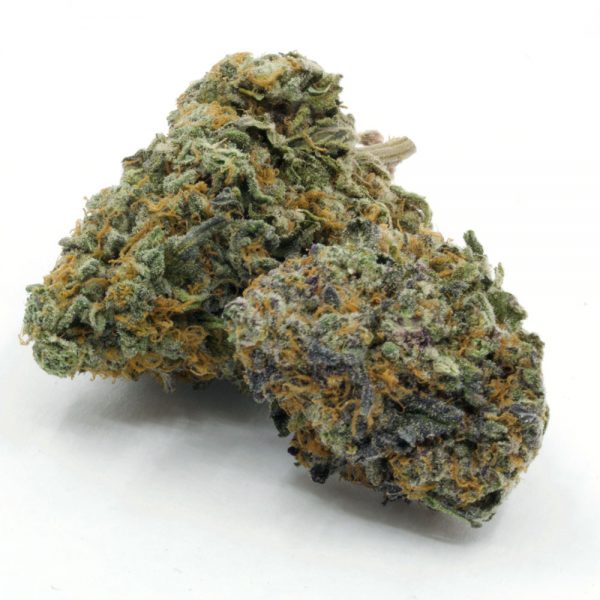 Pink-Animal-Cookies-600x600-1-2-1.jpg Pink Animal Cookies - Image 1