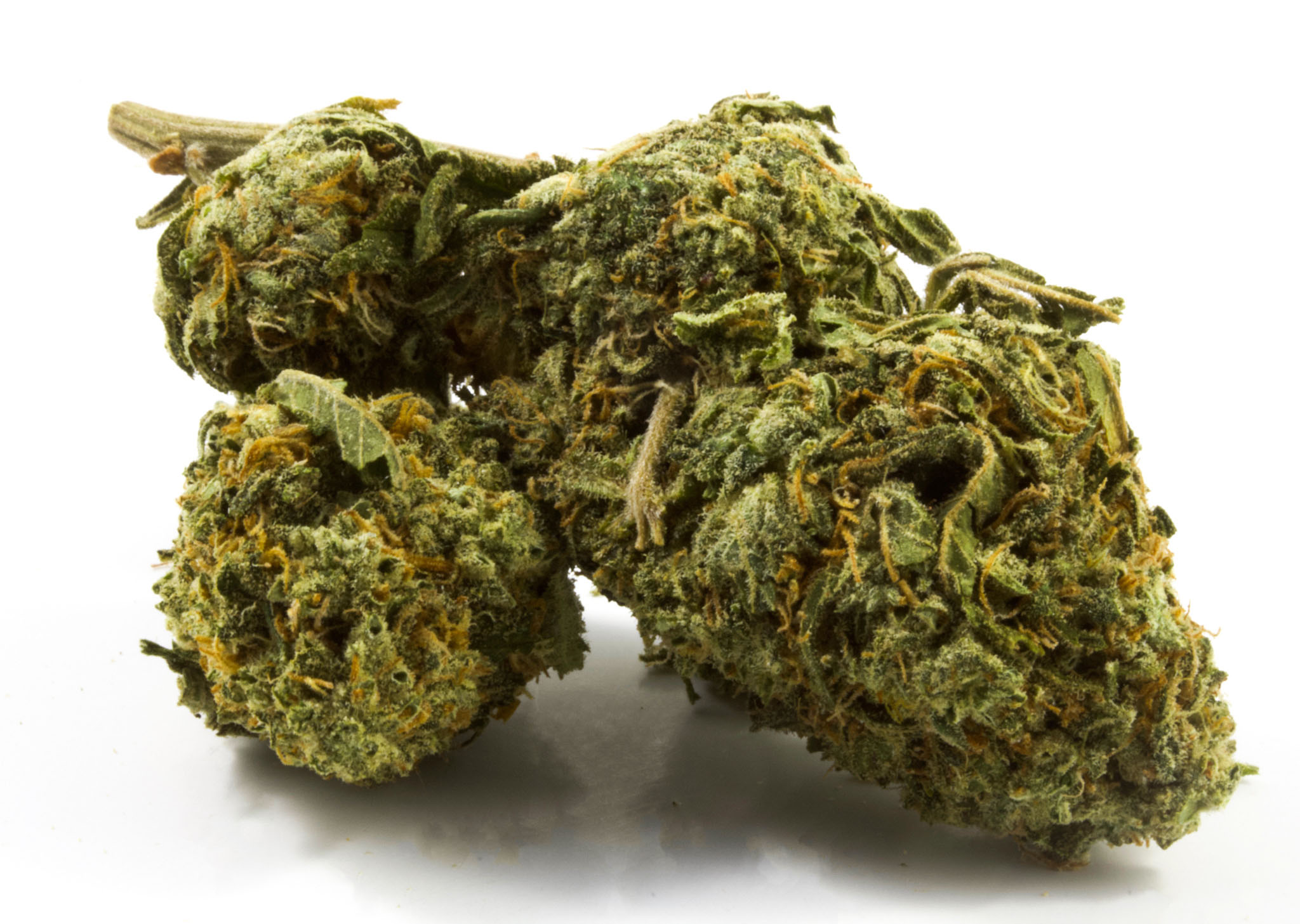 White-Widow-2-1.jpg White Widow - Image 1