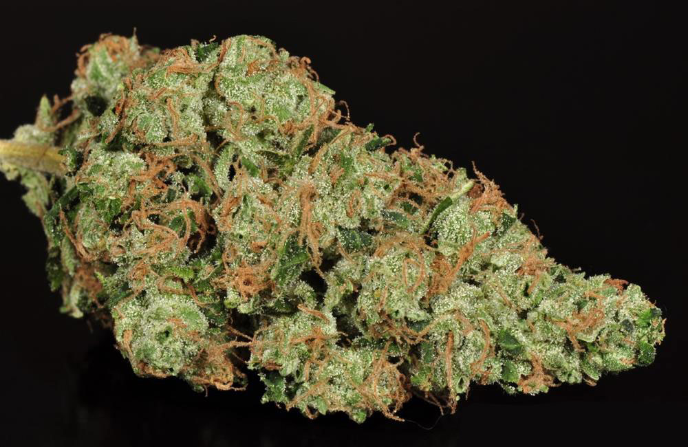 sour-diesel-1-1-2-1.jpg Buy Sour Diesel Online - Image 1